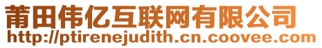 莆田偉億互聯網有限公司
