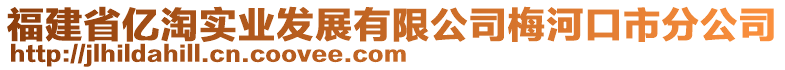 福建省億淘實業(yè)發(fā)展有限公司梅河口市分公司