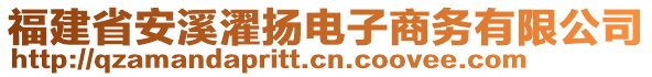 福建省安溪濯揚電子商務有限公司