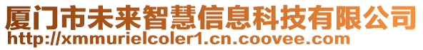 厦门市未来智慧信息科技有限公司