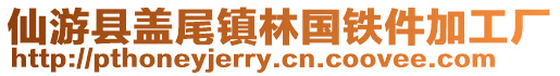 仙游县盖尾镇林国铁件加工厂