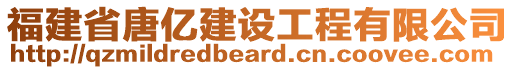 福建省唐億建設(shè)工程有限公司