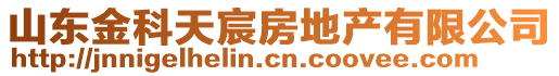 山東金科天宸房地產(chǎn)有限公司