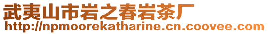 武夷山市巖之春巖茶廠