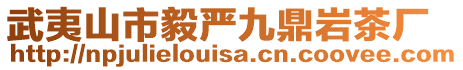 武夷山市毅嚴(yán)九鼎巖茶廠