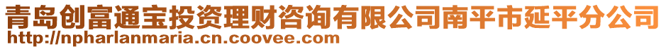 青岛创富通宝投资理财咨询有限公司南平市延平分公司