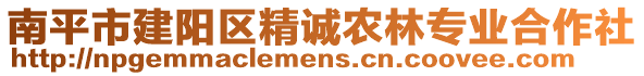 南平市建阳区精诚农林专业合作社