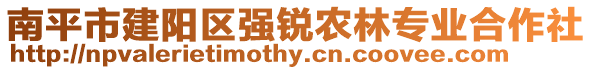南平市建陽區強銳農林專業合作社