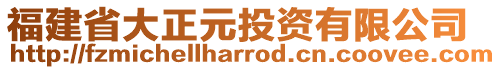 福建省大正元投資有限公司