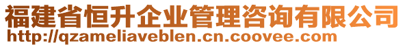 福建省恒升企業(yè)管理咨詢有限公司