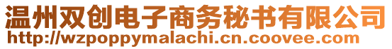 溫州雙創(chuàng)電子商務(wù)秘書有限公司