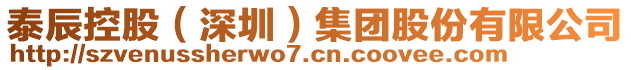 泰辰控股（深圳）集團(tuán)股份有限公司