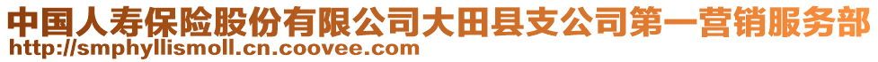 中國人壽保險股份有限公司大田縣支公司第一營銷服務(wù)部