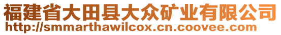 福建省大田縣大眾礦業(yè)有限公司