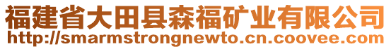 福建省大田縣森福礦業(yè)有限公司