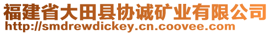 福建省大田縣協(xié)誠(chéng)礦業(yè)有限公司