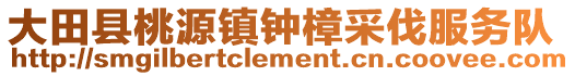 大田縣桃源鎮鐘樟采伐服務隊