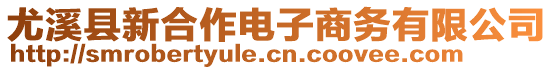 尤溪縣新合作電子商務有限公司