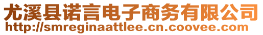 尤溪縣諾言電子商務(wù)有限公司