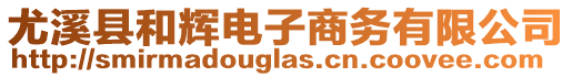 尤溪縣和輝電子商務有限公司