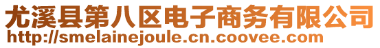 尤溪縣第八區(qū)電子商務(wù)有限公司