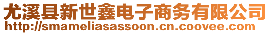 尤溪縣新世鑫電子商務有限公司