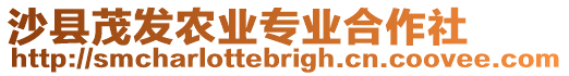 沙縣茂發(fā)農(nóng)業(yè)專(zhuān)業(yè)合作社