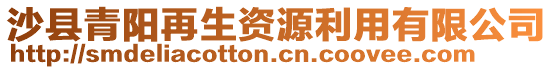 沙縣青陽再生資源利用有限公司