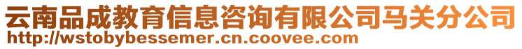 云南品成教育信息咨詢有限公司馬關(guān)分公司