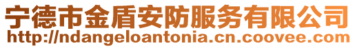 寧德市金盾安防服務(wù)有限公司