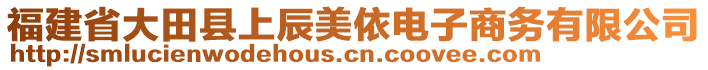 福建省大田縣上辰美依電子商務(wù)有限公司