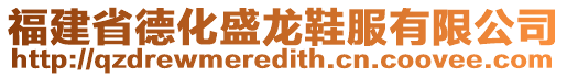 福建省德化盛龍鞋服有限公司