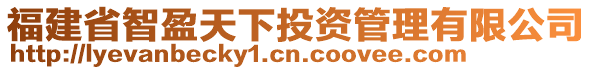 福建省智盈天下投資管理有限公司