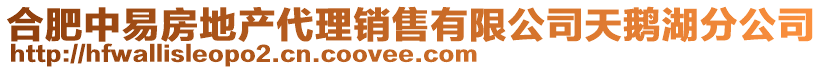 合肥中易房地產(chǎn)代理銷售有限公司天鵝湖分公司