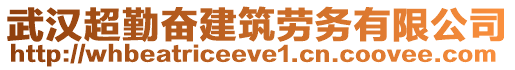 武漢超勤奮建筑勞務(wù)有限公司