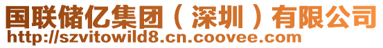 國聯(lián)儲(chǔ)億集團(tuán)（深圳）有限公司