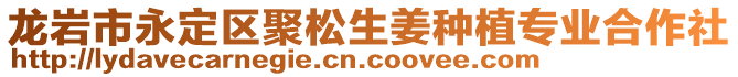 龍巖市永定區(qū)聚松生姜種植專(zhuān)業(yè)合作社