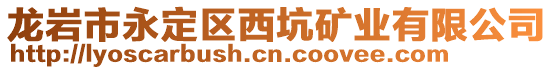 龍巖市永定區(qū)西坑礦業(yè)有限公司