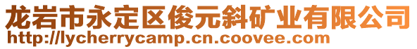 龍巖市永定區(qū)俊元斜礦業(yè)有限公司