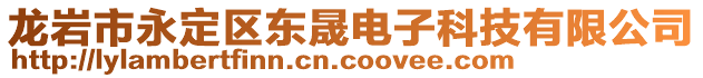 龍巖市永定區(qū)東晟電子科技有限公司