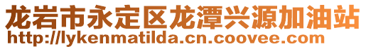 龍巖市永定區(qū)龍?zhí)杜d源加油站