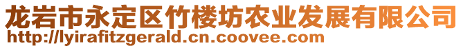 龍巖市永定區(qū)竹樓坊農(nóng)業(yè)發(fā)展有限公司