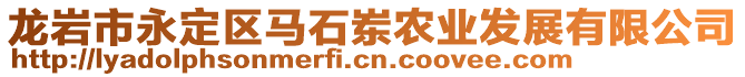 龍巖市永定區(qū)馬石崠農(nóng)業(yè)發(fā)展有限公司