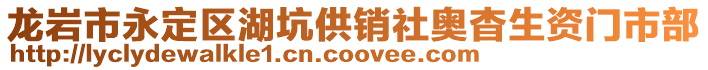 龍巖市永定區(qū)湖坑供銷社奧杳生資門市部