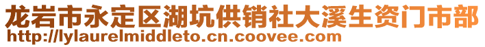 龍巖市永定區(qū)湖坑供銷社大溪生資門市部