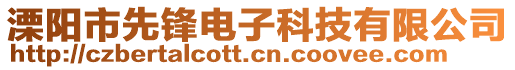 溧阳市先锋电子科技有限公司