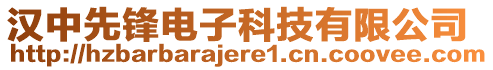 漢中先鋒電子科技有限公司