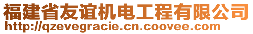 福建省友誼機電工程有限公司