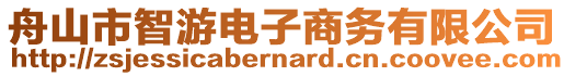 舟山市智游电子商务有限公司