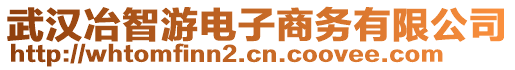 武漢冶智游電子商務(wù)有限公司